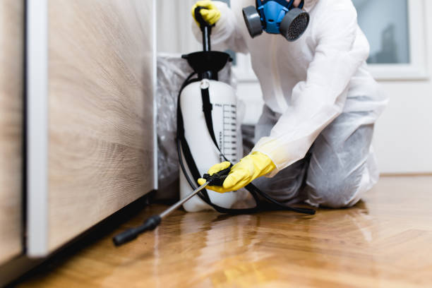Best Local Pest Control Services  in Pasatiempo, CA