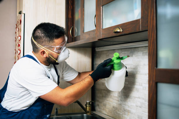 Best Wildlife Control Services  in Pasatiempo, CA