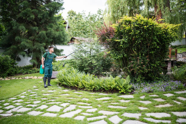 Best Pest Inspection Near Me  in Pasatiempo, CA
