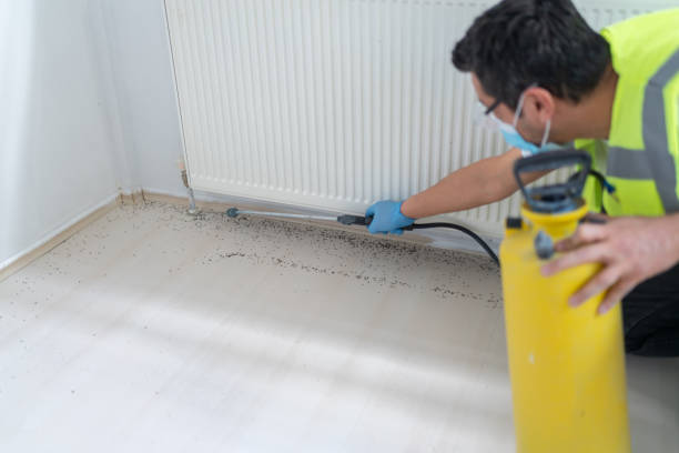 Best Cockroach Control Services  in Pasatiempo, CA