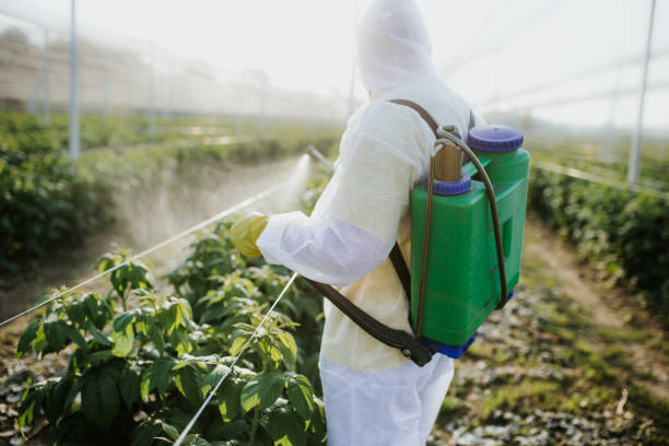 Best Affordable Pest Control Services  in Pasatiempo, CA